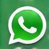 WhatsApp Icon
